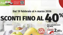 Screenshot 2026-02-12 alle 17.45.53