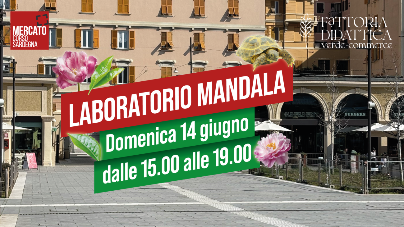 MCS_Banner sito_09-06