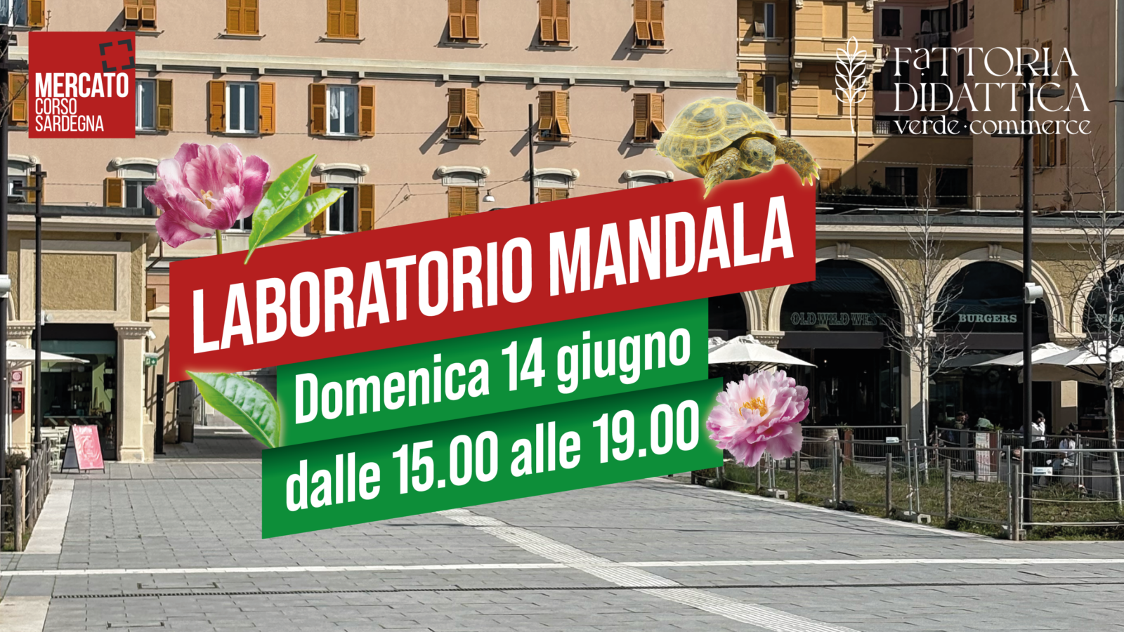 MCS_Banner sito_09-06