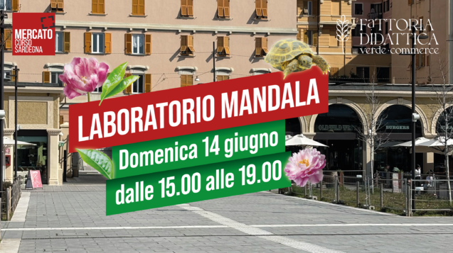 MCS_Banner sito_09-06