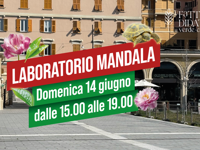 MCS_Banner sito_09-06