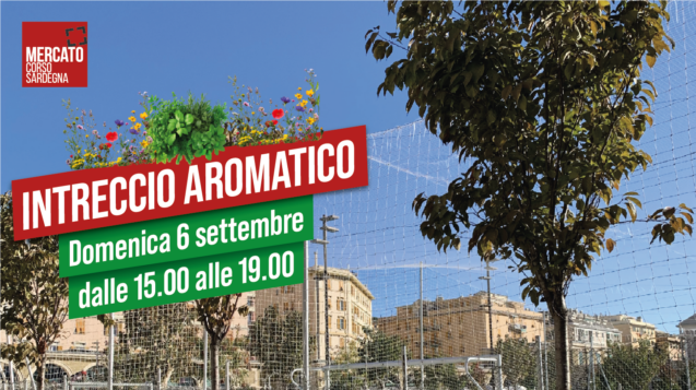 MCS_Banner sito_02-09