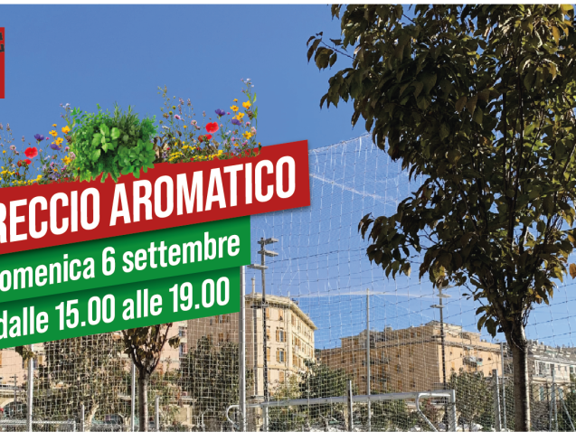 MCS_Banner sito_02-09